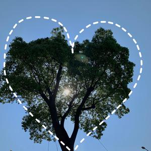 操国产老女人在线视频
